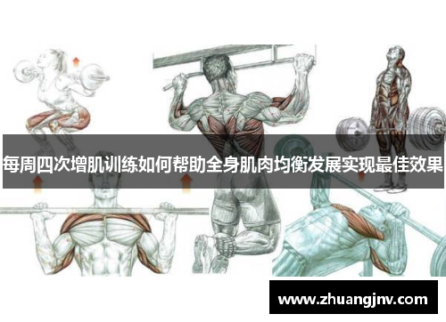每周四次增肌训练如何帮助全身肌肉均衡发展实现最佳效果