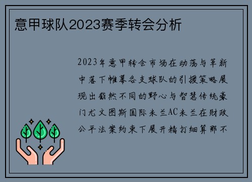 意甲球队2023赛季转会分析
